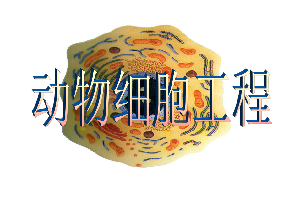 22动物细胞工程课件_第1页