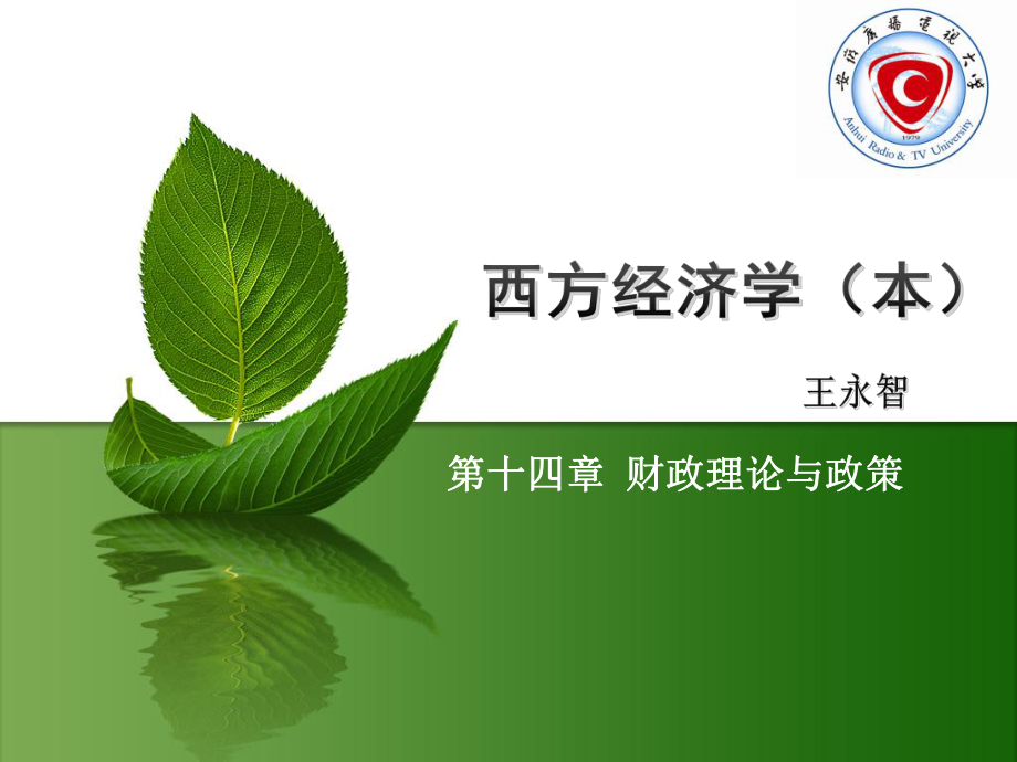 十四章节财政理论与政策_第1页