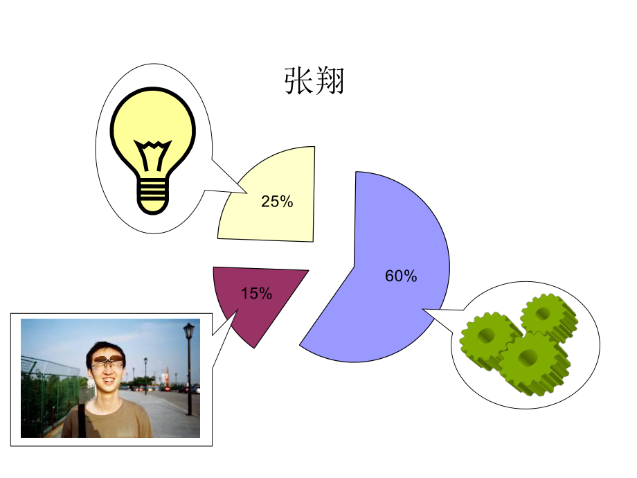 复杂系统的可视化与分析手段张翔_第1页