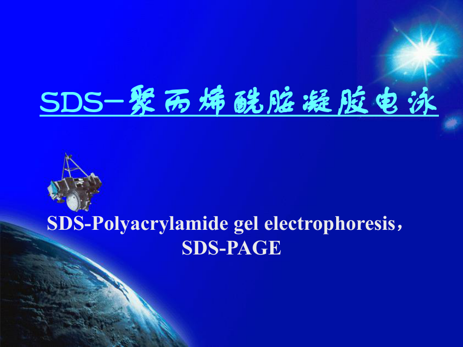 SDS聚丙烯酰胺凝胶电泳ppt课件_第1页