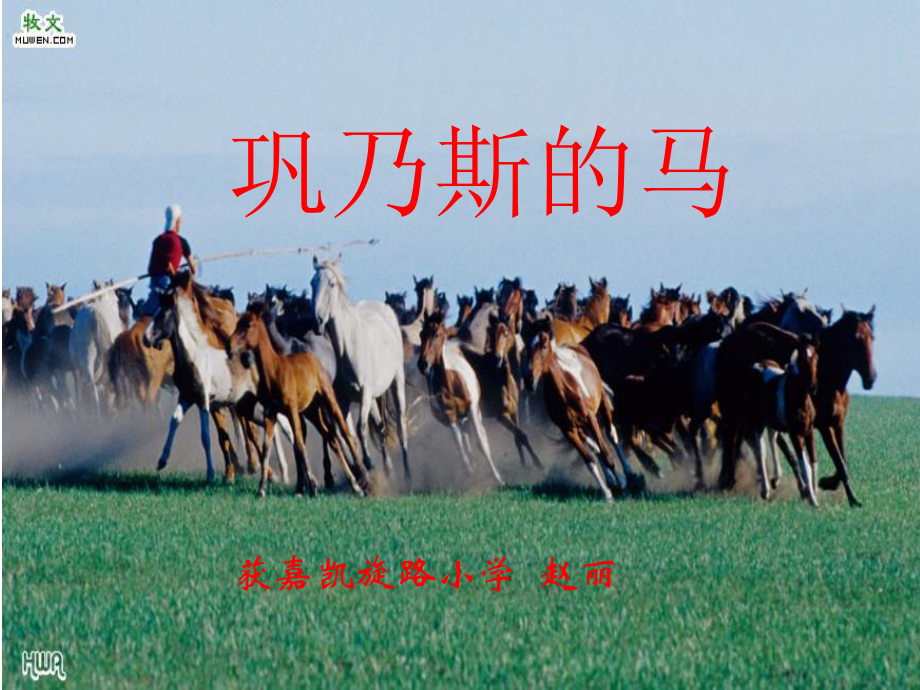 赵丽巩乃斯的马课件_第1页