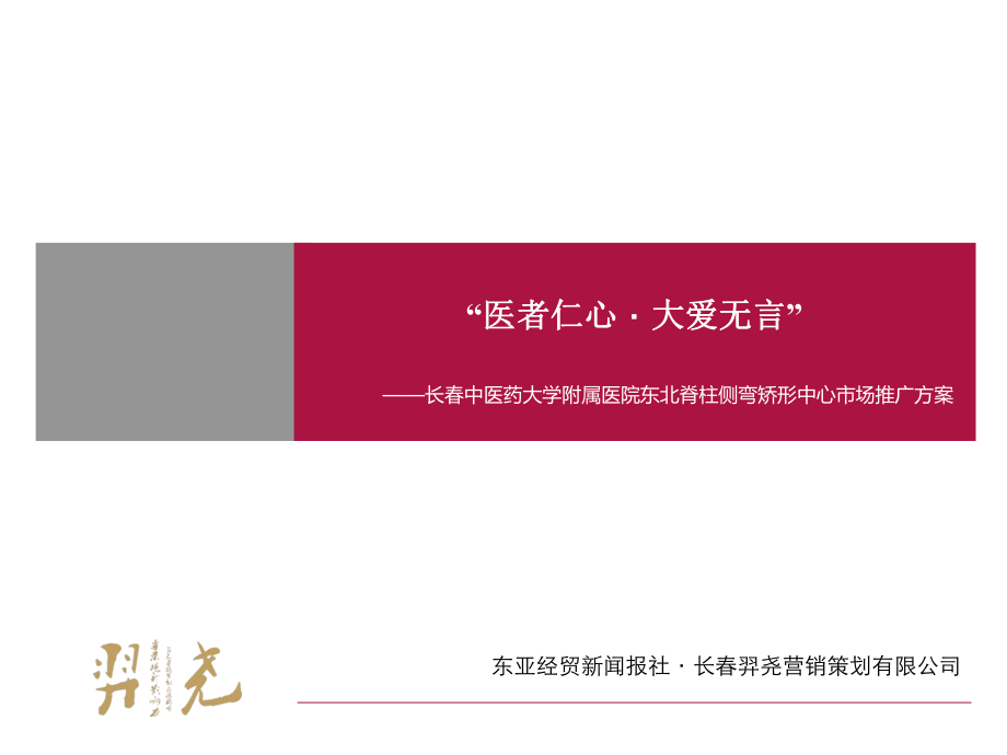 医者仁心大爱无言长中医药大学附属医院东北脊柱侧弯矫形中心市场推广方案_第1页