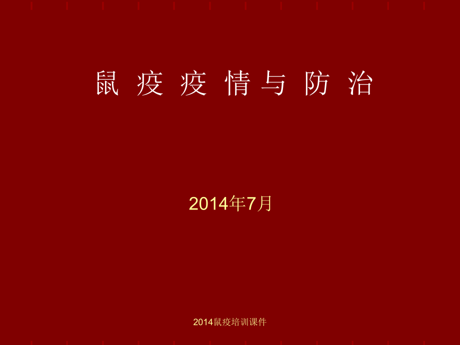 经典实用鼠疫培训课件_第1页