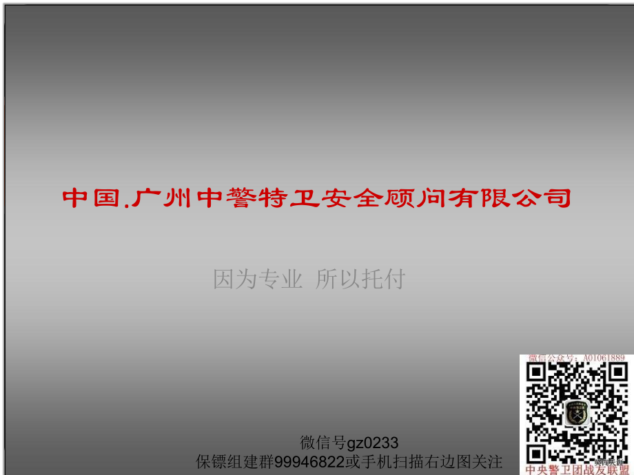 中警特衛安全顾问有限公司_第1页