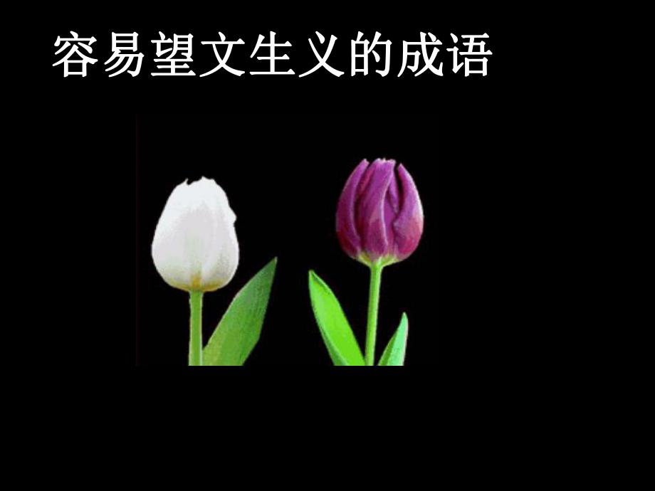 容易望文生义的成语_第1页