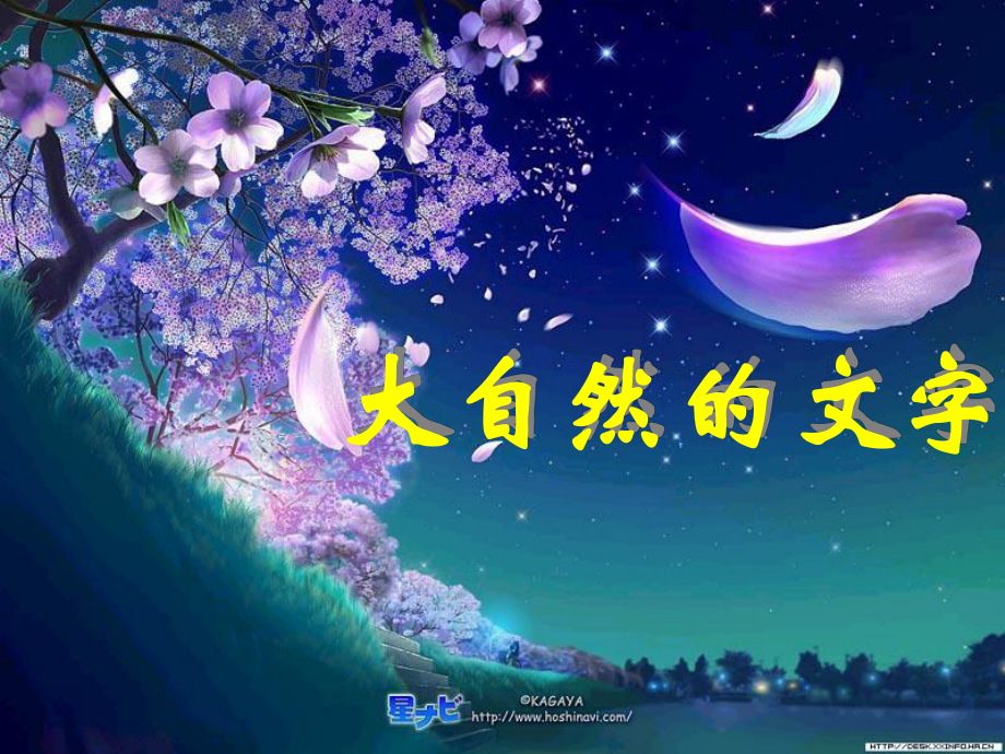 大自然的文字5_第1页