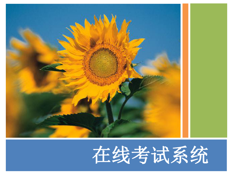 在线考试系统介绍_第1页