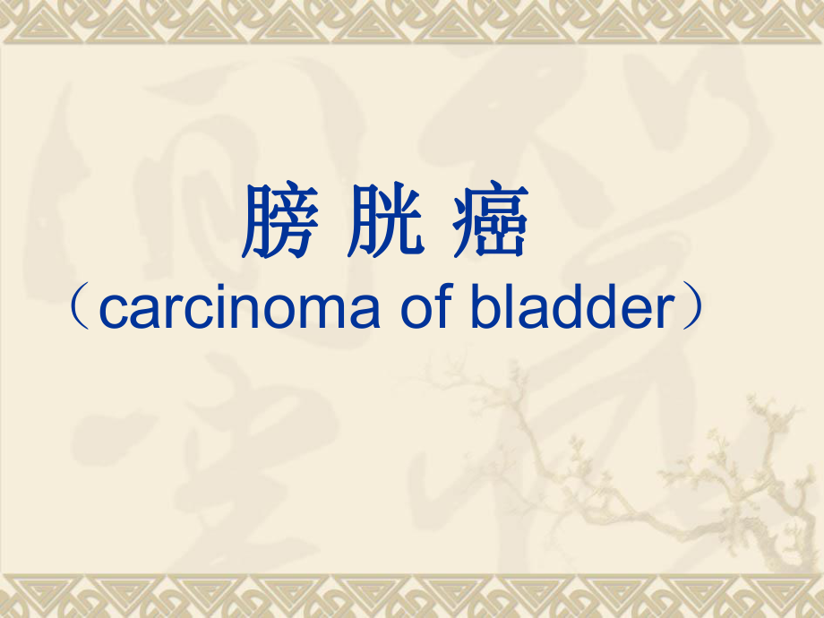 膀胱癌影像表现_第1页