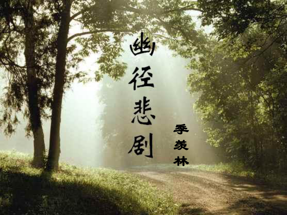 幽径悲剧公开课_第1页
