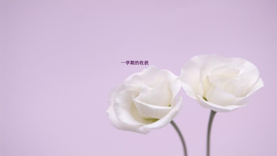一学期的收获ppt课件_第1页