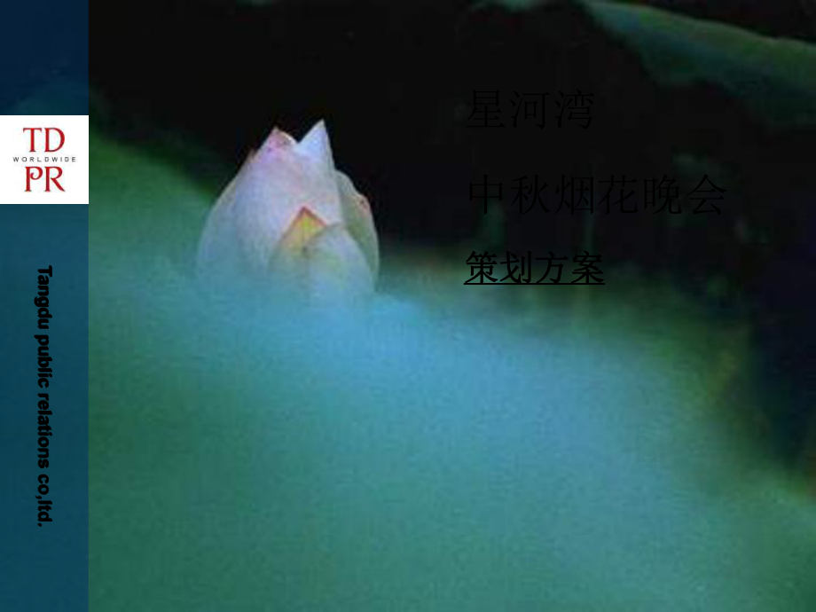 星河湾中活动提案_第1页