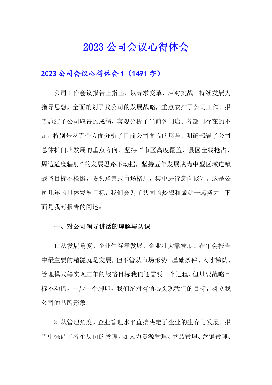 （实用）2023公司会议心得体会_第1页