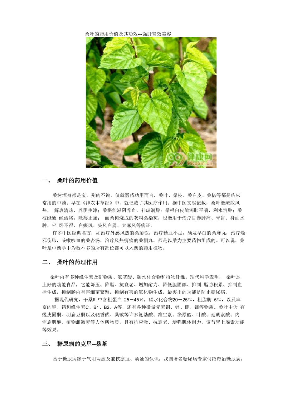 桑叶的药用价值及其功效---强肝肾效美容_第1页