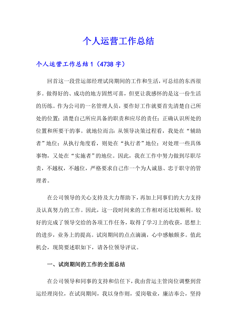 个人运营工作总结_第1页
