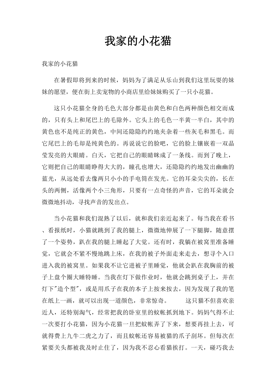 我家的小花猫(1)_第1页