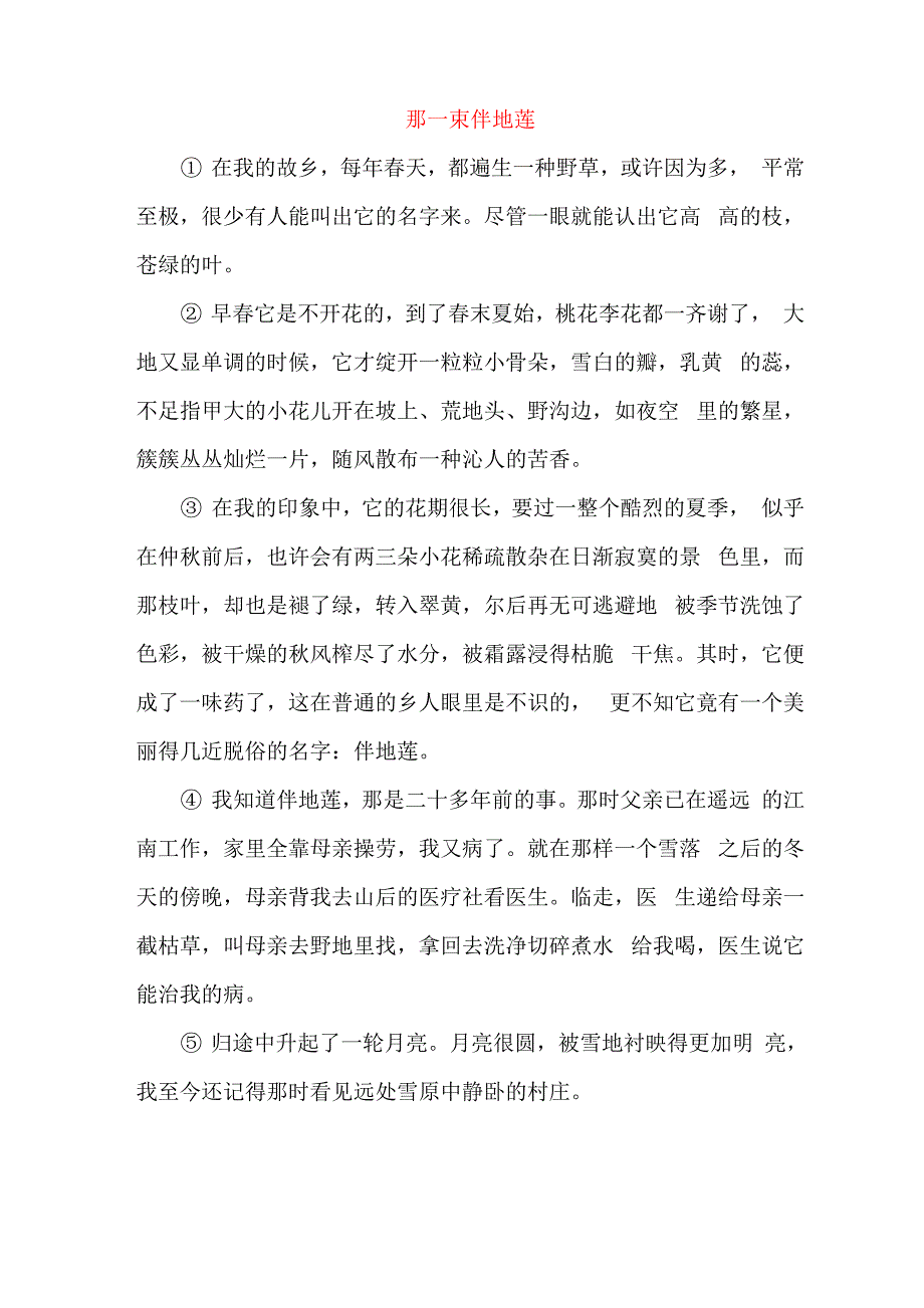 那一束伴地莲(初中阅读)_第1页