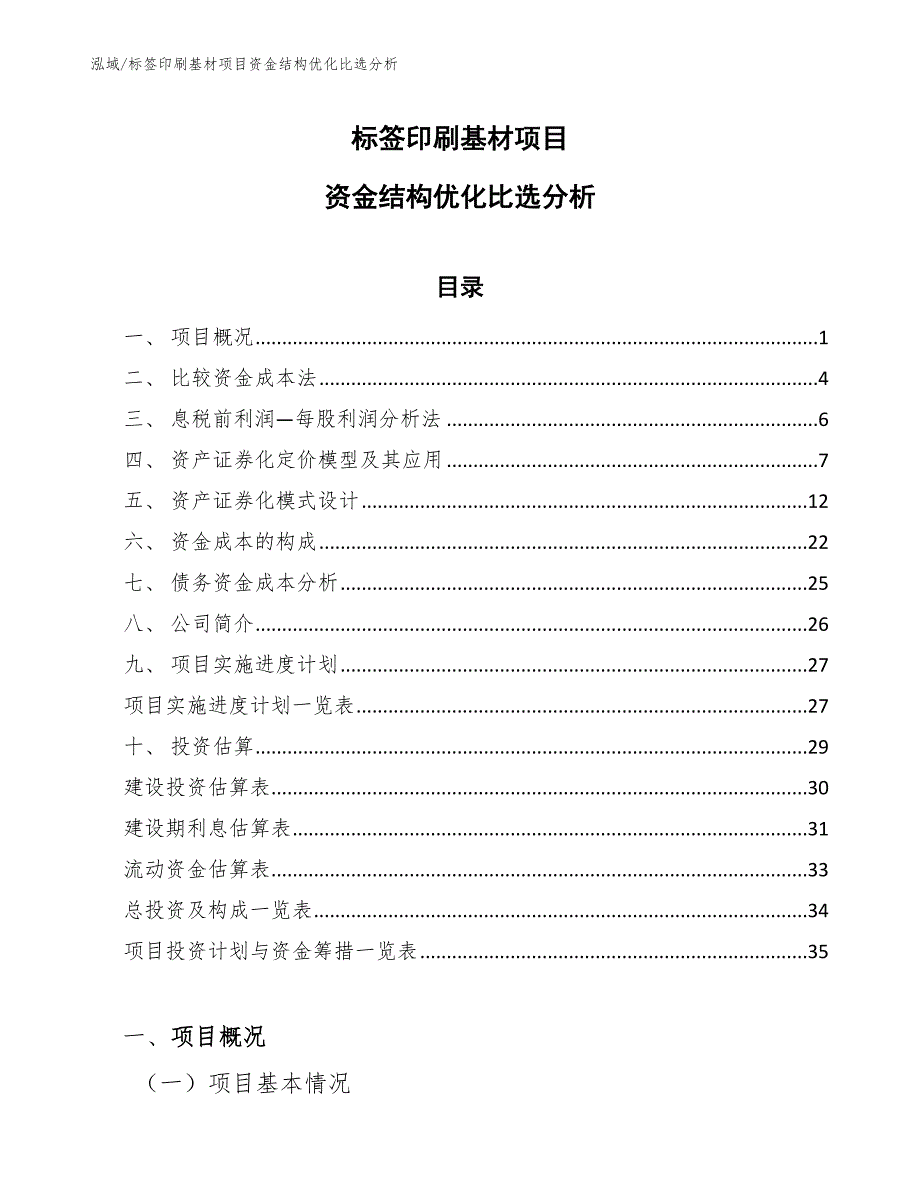 标签印刷基材项目资金结构优化比选分析【范文】_第1页