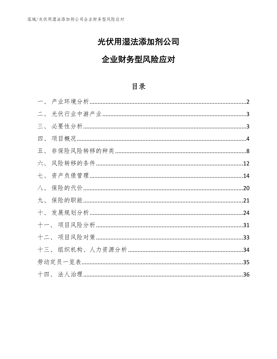 光伏用湿法添加剂公司企业财务型风险应对_第1页