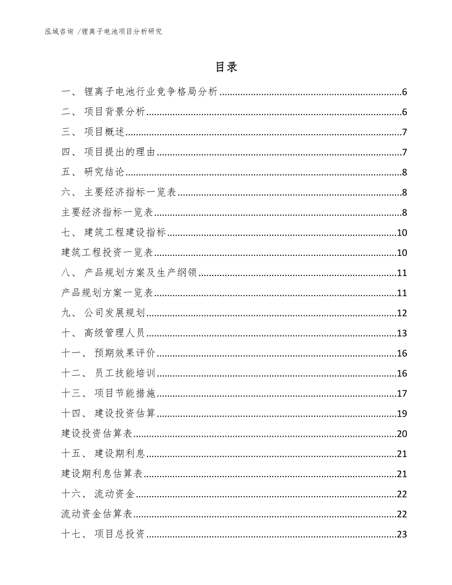 锂离子电池项目分析研究_第1页