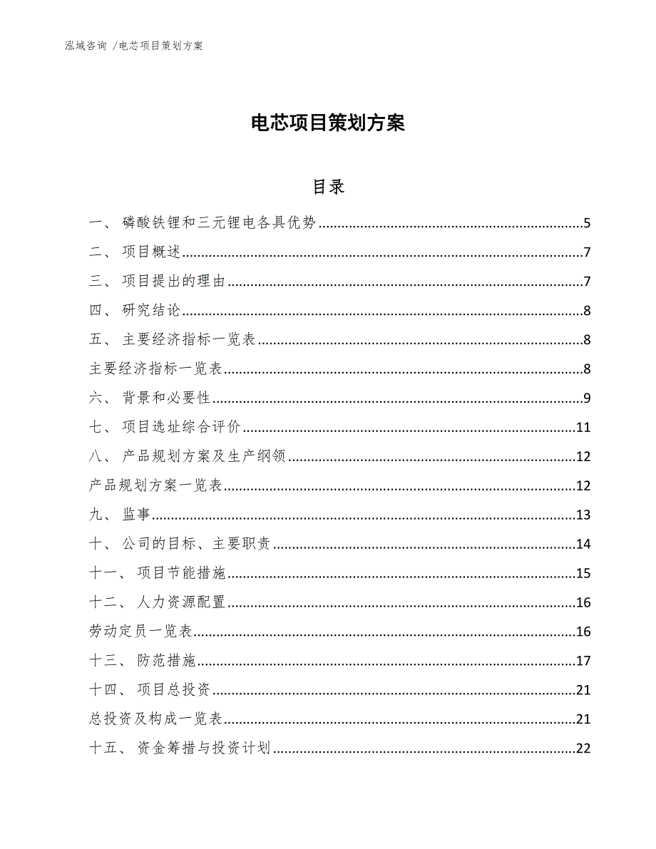 电芯项目策划方案-（模板）_第1页