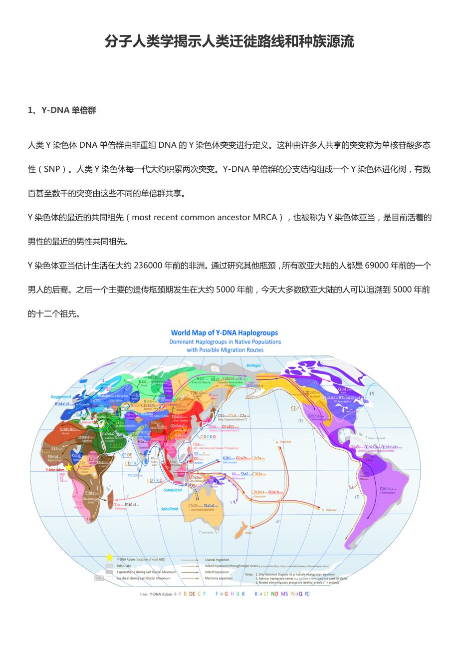 分子人类学视角地人类迁徙和种族源流_第1页