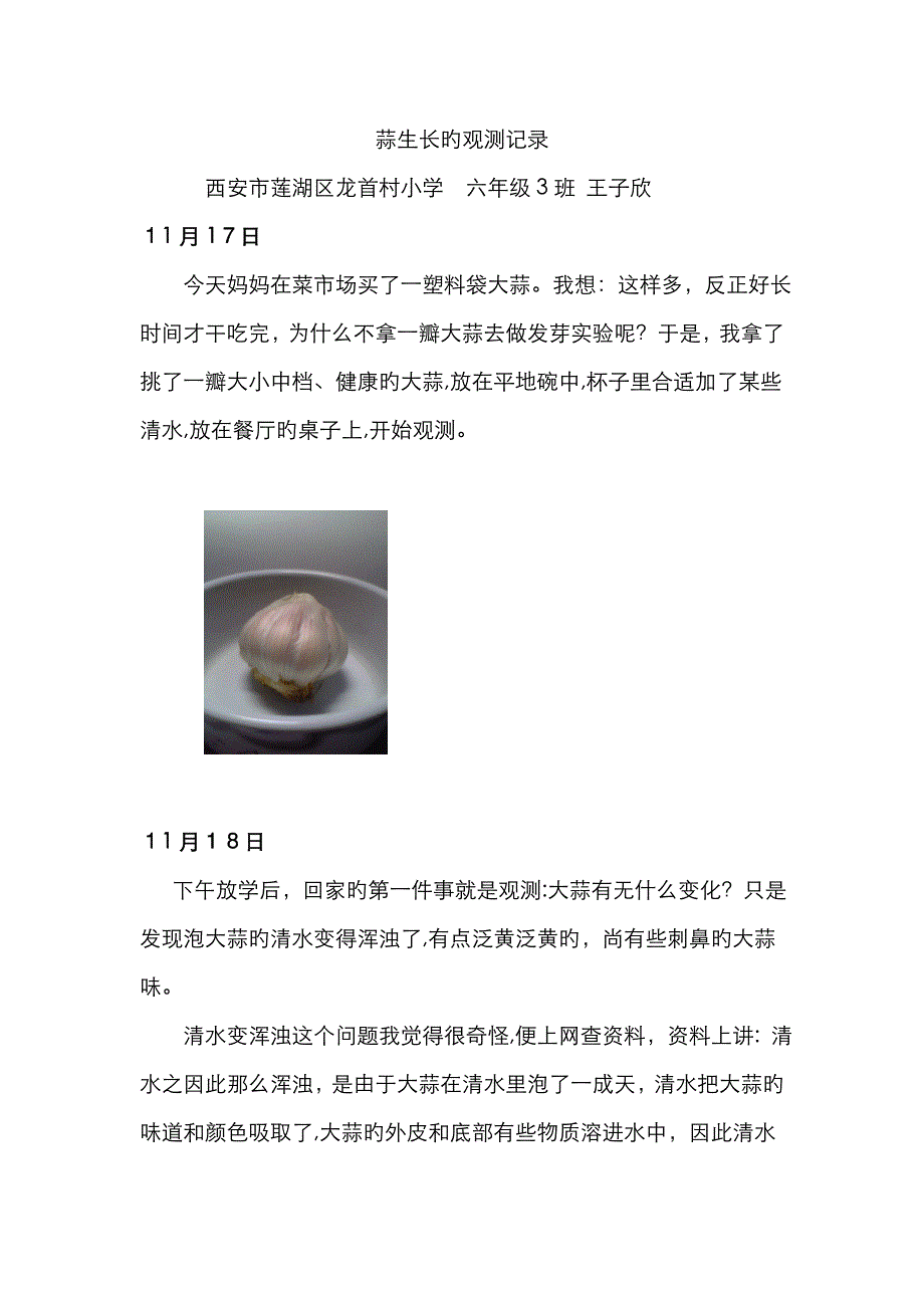 大蒜发芽长大的观察记录_第1页