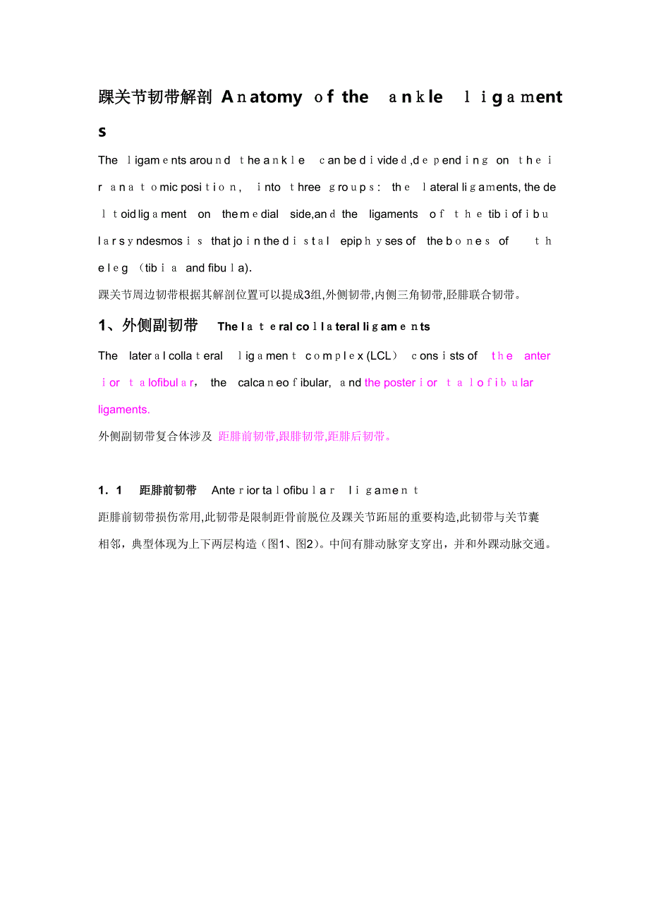 踝关节韧带解剖_第1页
