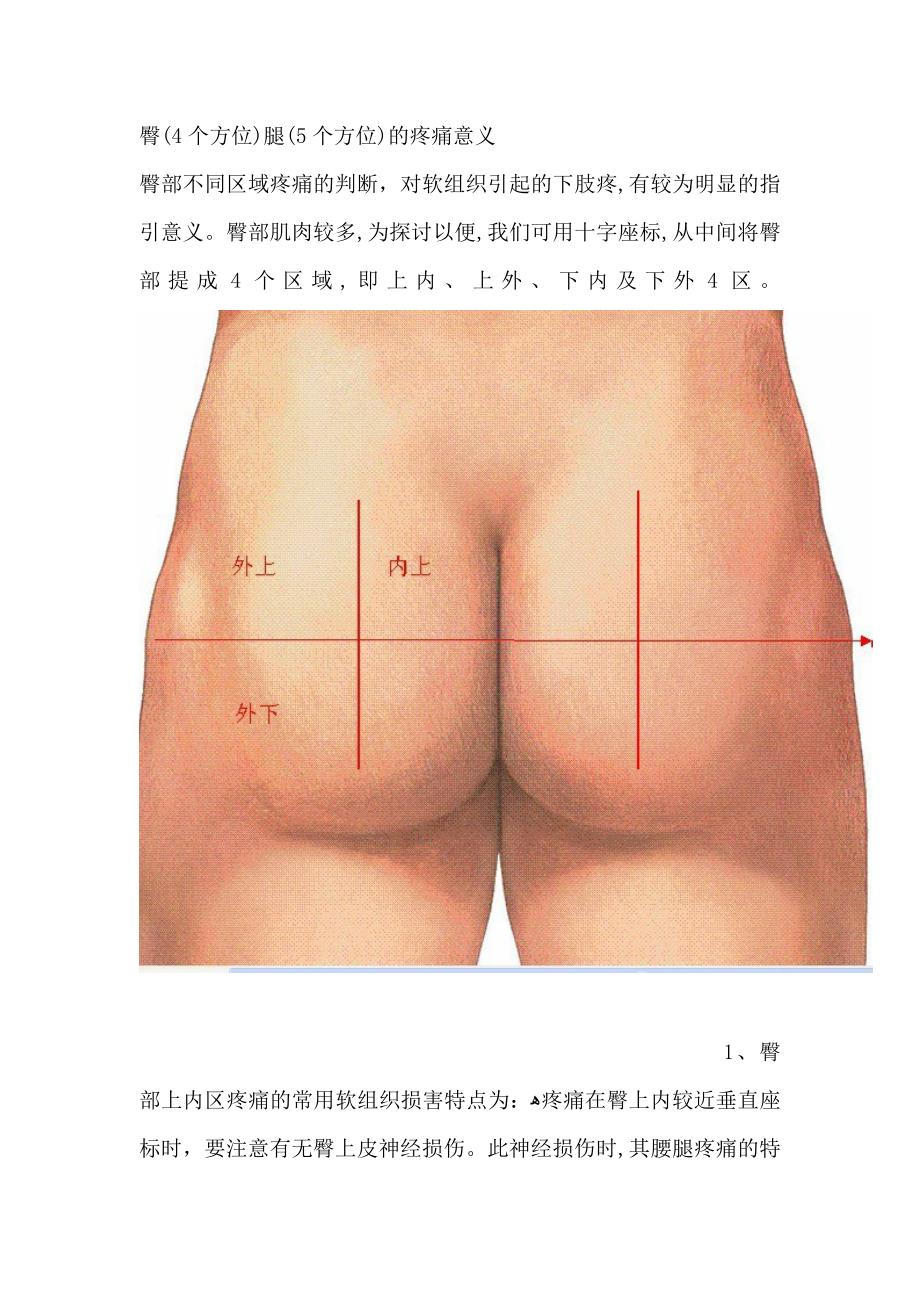 臀(4个方位)腿(5个方位)的疼痛意义_第1页