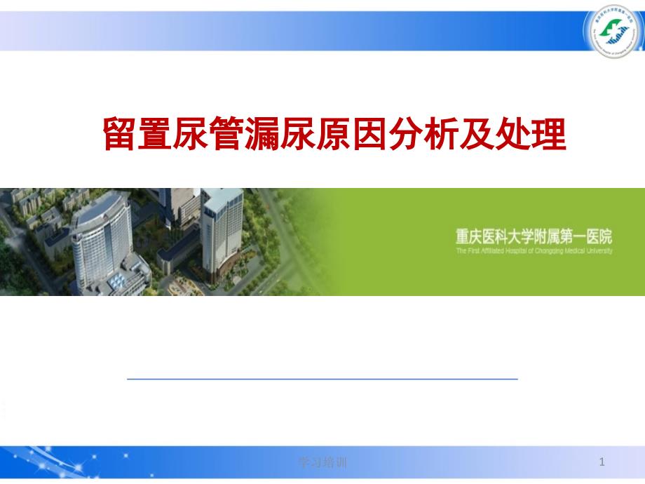 留置尿管漏尿原因分析及处理（培训学习）_第1页