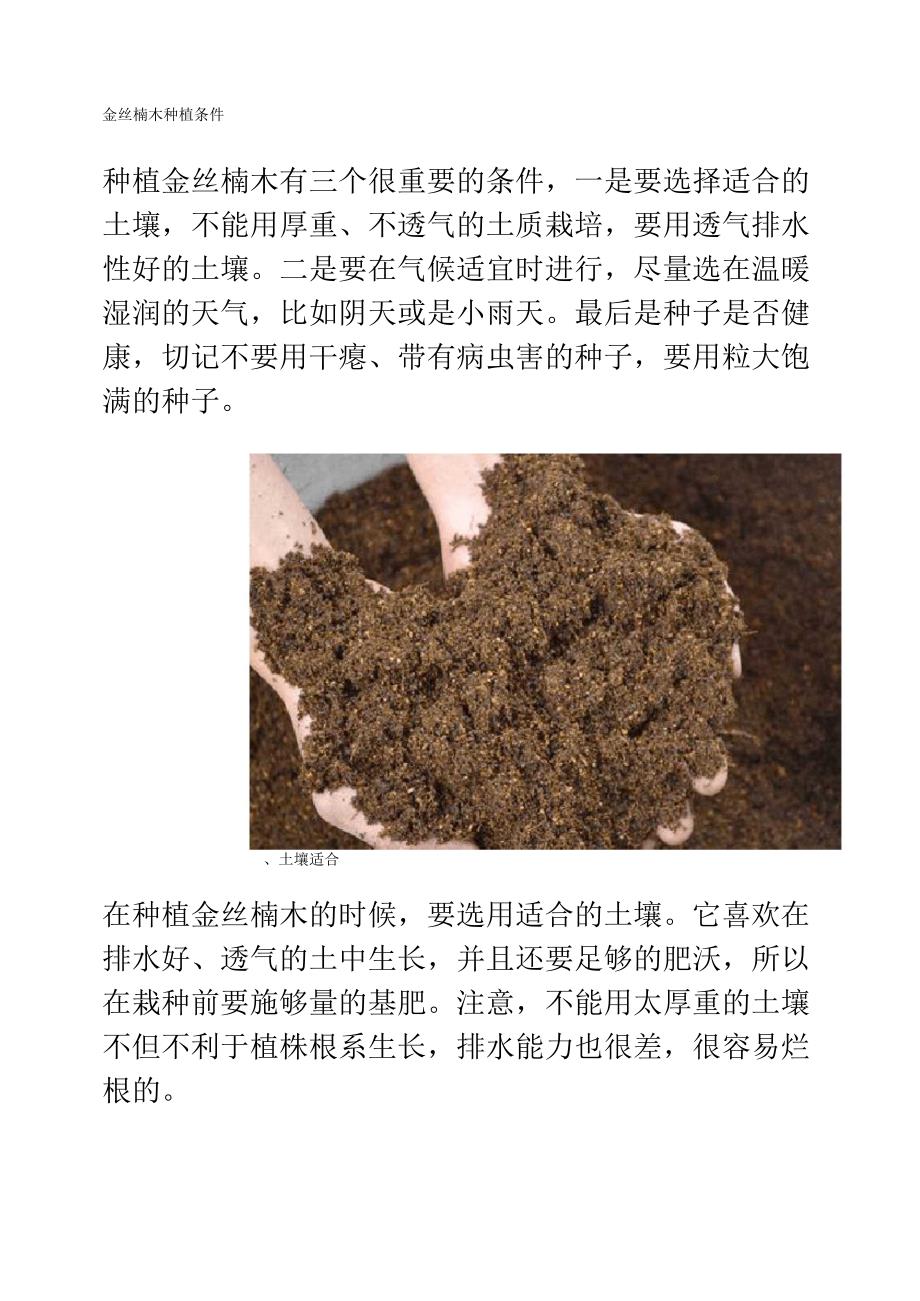 金丝楠木种植条件_第1页